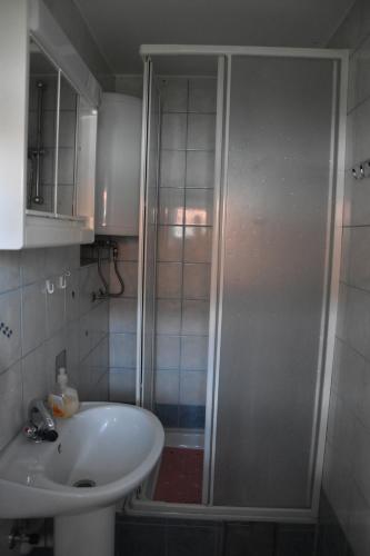 y baño con ducha y lavamanos. en Apartmani Mura, en Mursko Središće