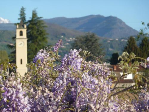 a bunch of purple flowers in front of a tower at B&B Cascina Marie in Bricherasio
