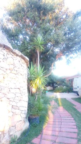 a stone walkway with a tree and a stone wall at B&B Domo De Pedra in Tottubella