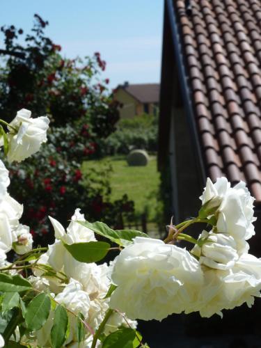 a bunch of white flowers in front of a roof at B&B Cascina Marie in Bricherasio