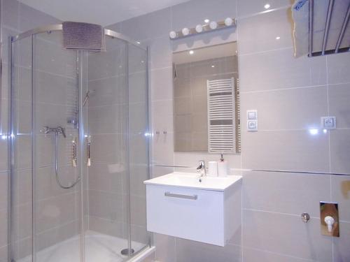 a bathroom with a shower and a sink and a glass shower stall at Apartment David Garden Towers in Prague