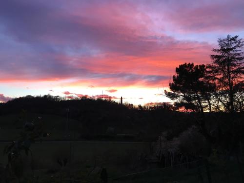 a sunset with a tree in the foreground at Villa Baronzola in Montevarchi