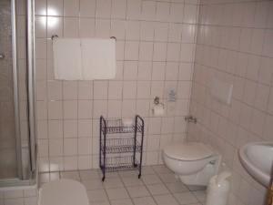 a white bathroom with a toilet and a sink at Gasthaus & Pension Zum Hirsch in Gehlberg
