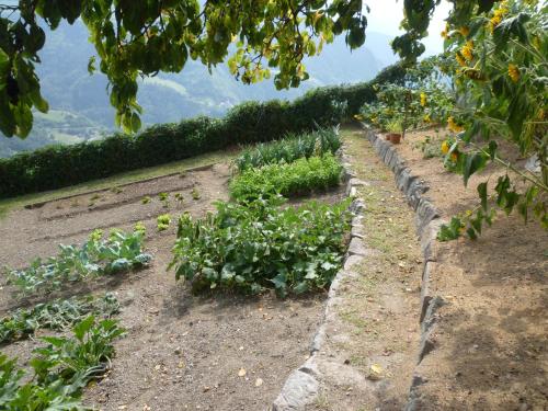 Un jardín fuera de Garni Kircher Sepp