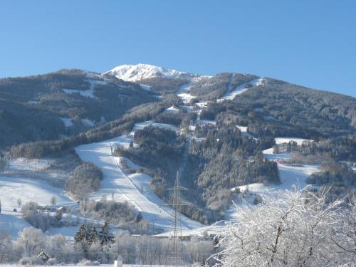a snow covered mountain with trees and a river at Gästehaus Hartweger in Haus im Ennstal