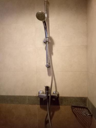 a shower in a bathroom with a shower head at Buyan Homestay in Sanur