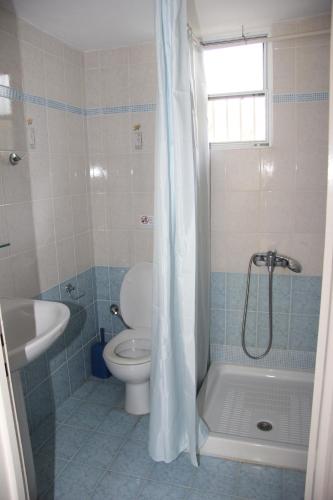 a bathroom with a toilet and a shower and a sink at Eleni Houses in Kómboi