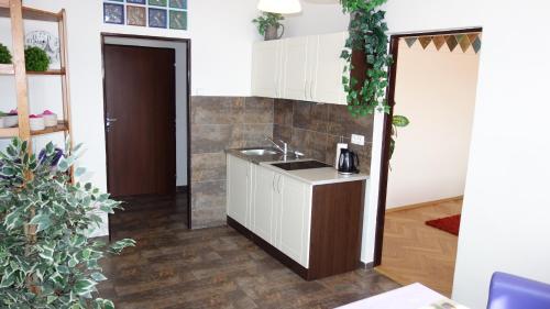 a kitchen with a sink and a counter at Apartments Rokytka - Praha in Prague