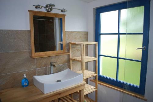 La salle de bains est pourvue d'un lavabo blanc et d'un miroir. dans l'établissement Ferienhaus Villa Apfelbaum, à Krien