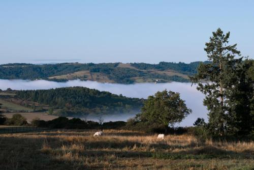 Domaine des Grands Cèdres – Photos 3