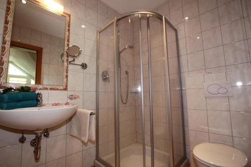 a bathroom with a shower and a sink and a toilet at Apart Rustica in Kaunertal