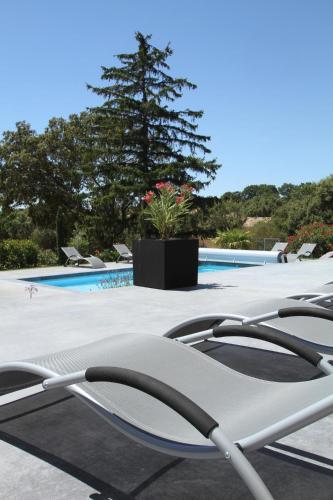 la maison de l'olivier – Photos 5