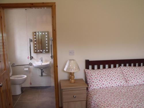 Gallery image of cosy ground floor disabled friendly room in farm house in Bala