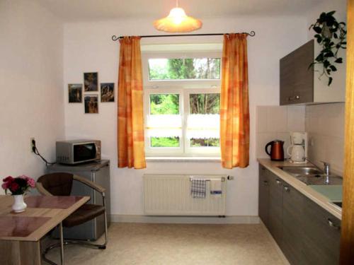 a kitchen with a window and a table and a sink at Ferienwohnung Schlupp in Dresden