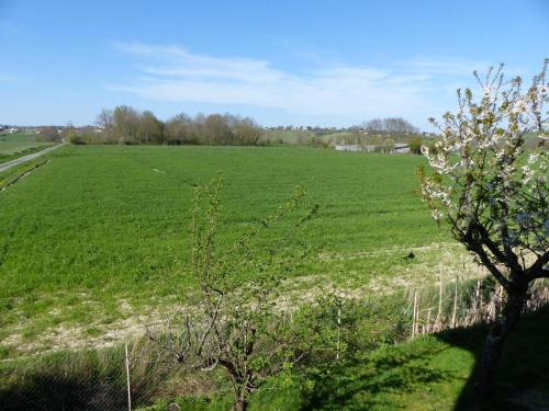 Φωτογραφία από το άλμπουμ του Hostellerie du Parc σε Labarthe-Inard