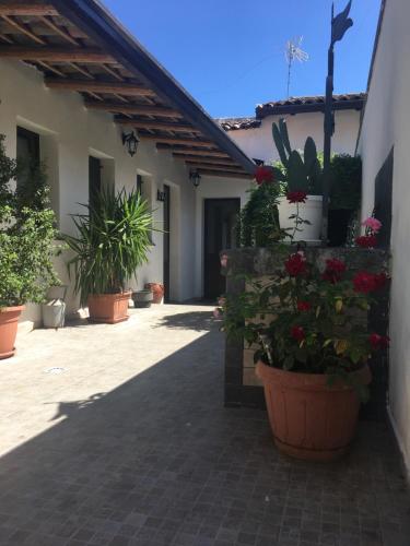 a courtyard with potted plants on the side of a building at Nzina Maison de Charme in Nicolosi