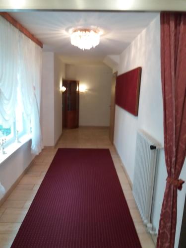 a hallway with a red carpet in a room at Pension Cecilie in Braunlage