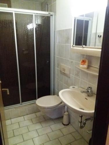 a bathroom with a shower and a toilet and a sink at Pension Cecilie in Braunlage