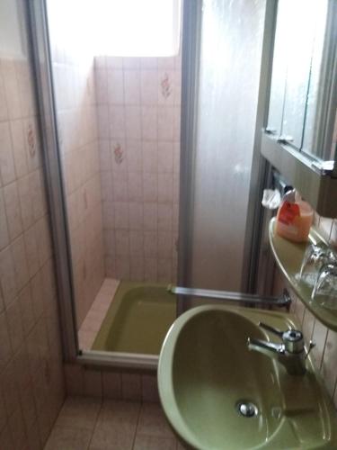 a bathroom with a green sink and a shower at Pension Cecilie in Braunlage