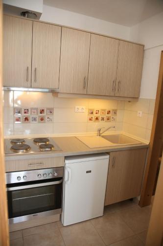 Dapur atau dapur kecil di Kastoria Hotel Apartments