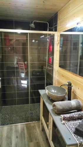 a bathroom with a sink and a glass shower at La Grange et Le Nid in Biscarrosse