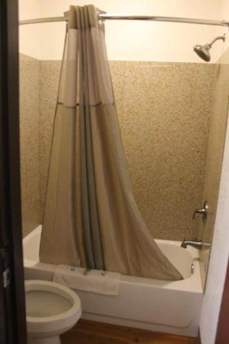 ein Bad mit einem Duschvorhang neben einem WC in der Unterkunft Ashley Inn Ponca City in Ponca City