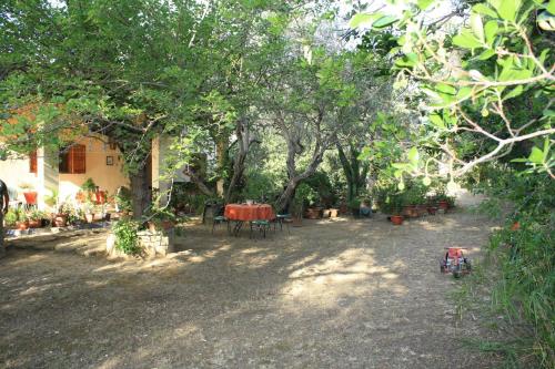 Taman di luar B&B Villa Calagioli