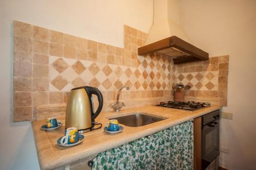 um balcão de cozinha com um lavatório e um fogão em Agriturismo Podernuovo em Asciano