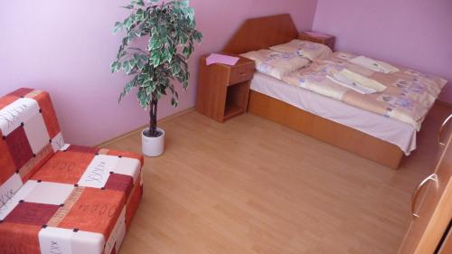 - une chambre avec un lit et une plante en pot dans l'établissement Hotel Štadión, à Košice