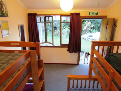 a bedroom with two bunk beds and a dog looking out the window at Greenstone Retreat in Kumara