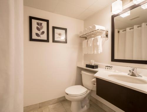 a white bathroom with a toilet and a sink at Country Inn & Suites by Radisson, Rochester-Pittsford-Brighton, NY in Rochester