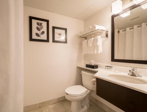a bathroom with a toilet, sink and mirror at Country Inn & Suites by Radisson, Rochester-Pittsford/Brighton, NY in Rochester