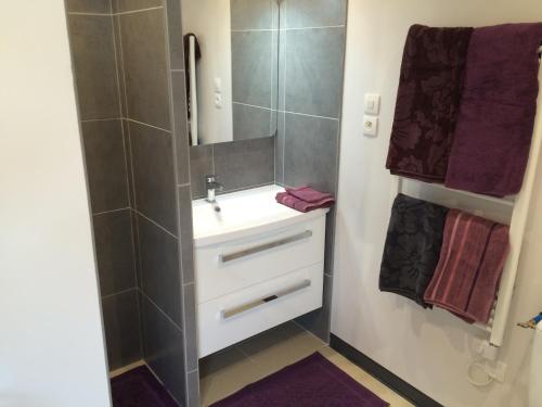 une salle de bain avec un lavabo et un miroir dans l'établissement Gite de la Boheraie, à Chemazé