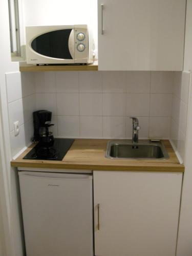 une cuisine avec un évier et un micro-ondes dans l'établissement Place Wilson, à Nice