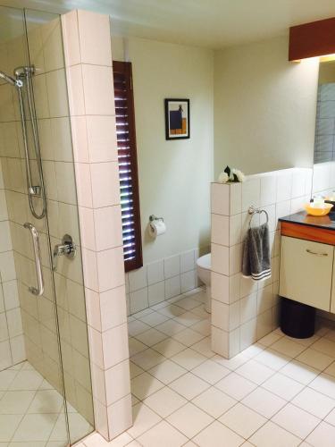 a bathroom with a shower and a toilet at Olive Hill Guest Lodge in Napier
