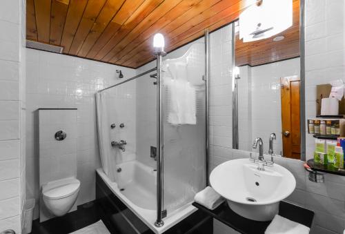 a bathroom with a shower and a sink and a toilet at Honeymoon Inn Manali in Manāli
