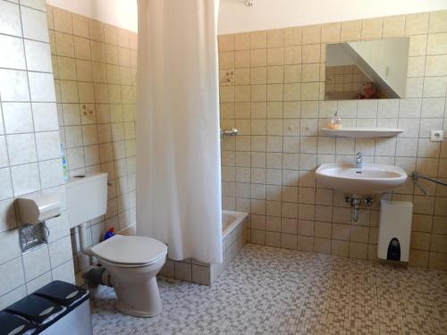 a bathroom with a toilet and a sink and a shower at Vechtetal-Garten in Laar