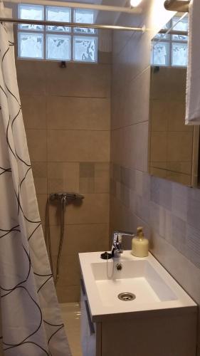 a bathroom with a sink and a shower at Avenue Study in El Médano
