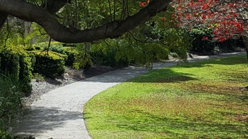 a walking path in a park with a tree overhead at Vimal's Homestay in Perth