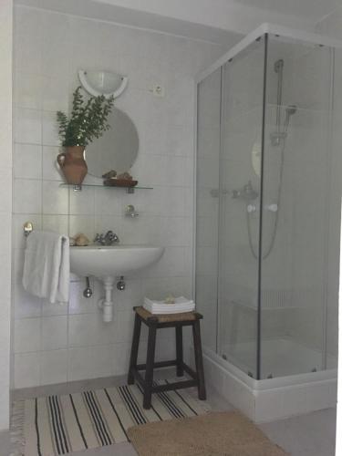 a bathroom with a glass shower and a sink at Igmándy kúria in Nagybajom