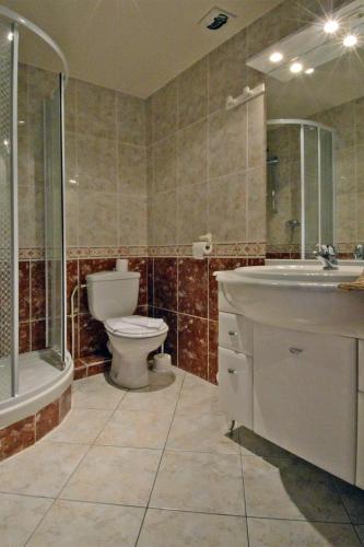 une salle de bain avec toilettes, lavabo et douche dans l'établissement Hotel Le Saint Vorles, à Châtillon-sur-Seine