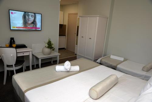 TV a/nebo společenská místnost v ubytování Alexandar Square Apartments