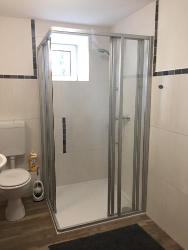 a shower stall in a bathroom with a toilet at Pension Schackstedt in Schackstedt