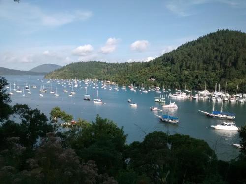 un groupe de bateaux est amarré dans un port dans l'établissement Ubatuba Surf Suites, à Ubatuba