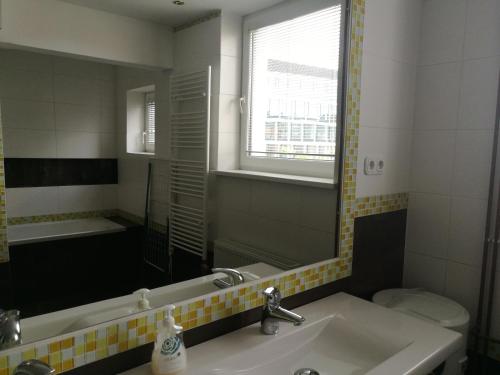 a bathroom with a sink and a mirror at Apartment Maximilian in Bratislava