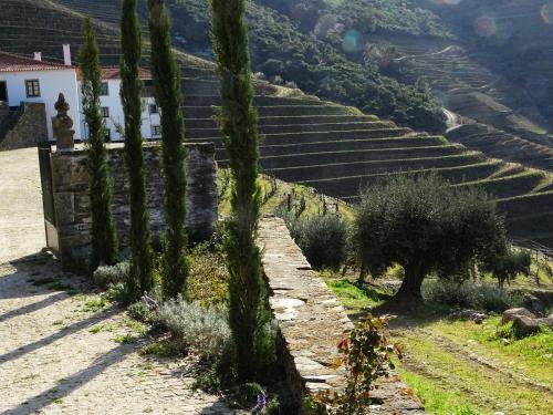 Paesaggio naturale nelle vicinanze dell'affittacamere