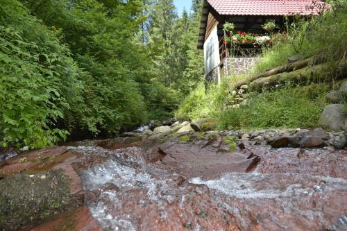 a stream in front of a house next to a forest at Casa "Cabana Varciorog Arieseni" in Arieşeni