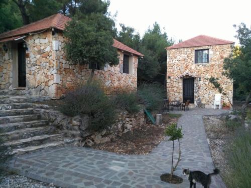 a cat standing in front of a stone house at Graneroverde Resort in Al Qbayyāt