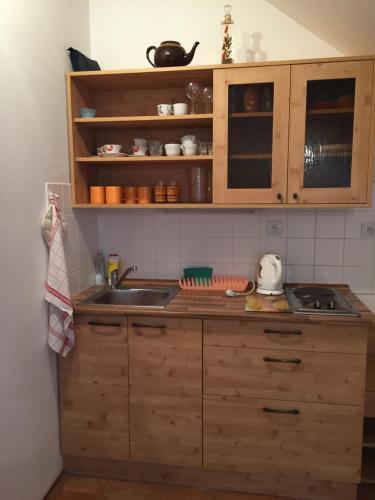 a kitchen with wooden cabinets and a sink at Orbit Karlov pod Pradědem in Malá Morávka