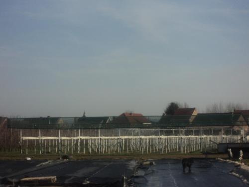 a person standing in a parking lot next to a building at Juwel Fruithof in Zepperen